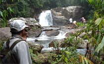 Sinharaja Forest Reserve-attractions in ratnapura